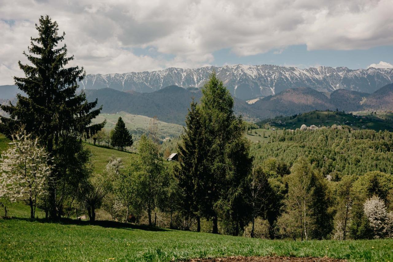 Silver Mountain B12 Poiana Brașov Zewnętrze zdjęcie